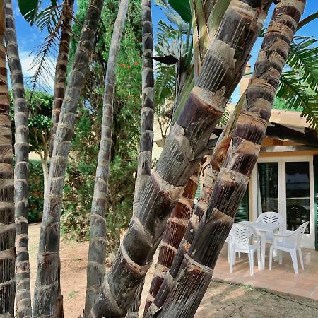 Bungalow Tropical Nº6 - Son Xoriguer Διαμέρισμα Εξωτερικό φωτογραφία