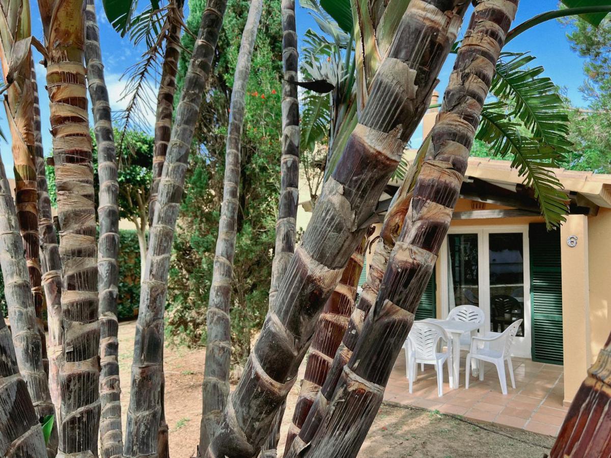 Bungalow Tropical Nº6 - Son Xoriguer Διαμέρισμα Εξωτερικό φωτογραφία