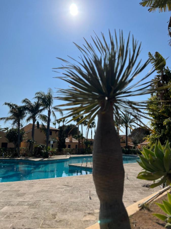 Bungalow Tropical Nº6 - Son Xoriguer Διαμέρισμα Εξωτερικό φωτογραφία