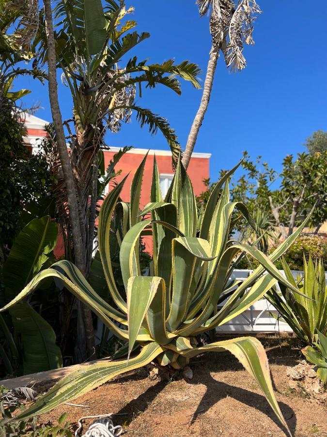 Bungalow Tropical Nº6 - Son Xoriguer Διαμέρισμα Εξωτερικό φωτογραφία